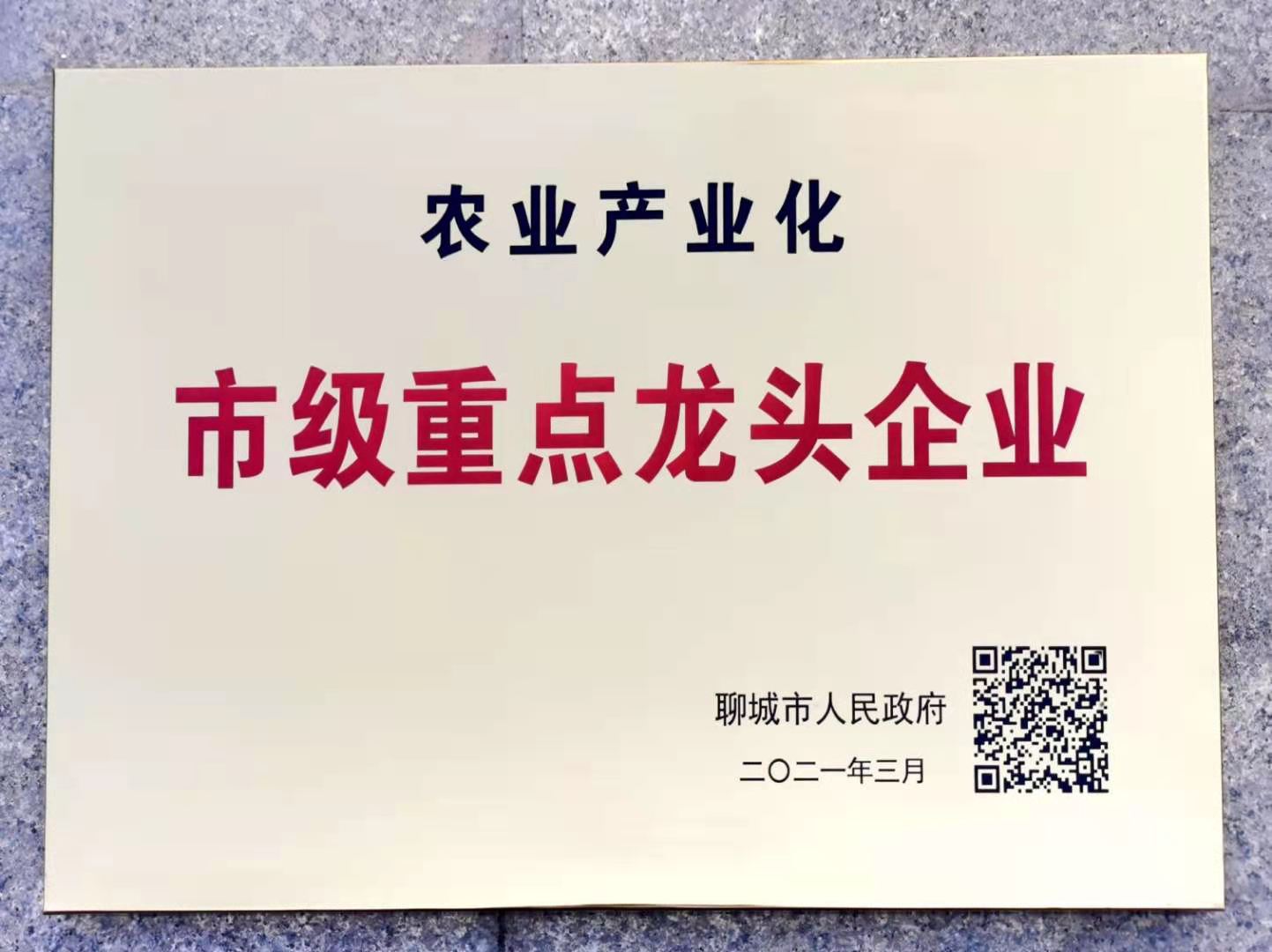 熱烈祝賀我公司被評為 “市級重點(diǎn)龍頭企業(yè)”